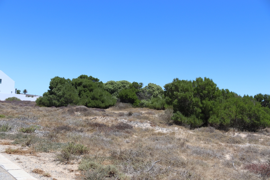 0 Bedroom Property for Sale in Shelley Point Western Cape